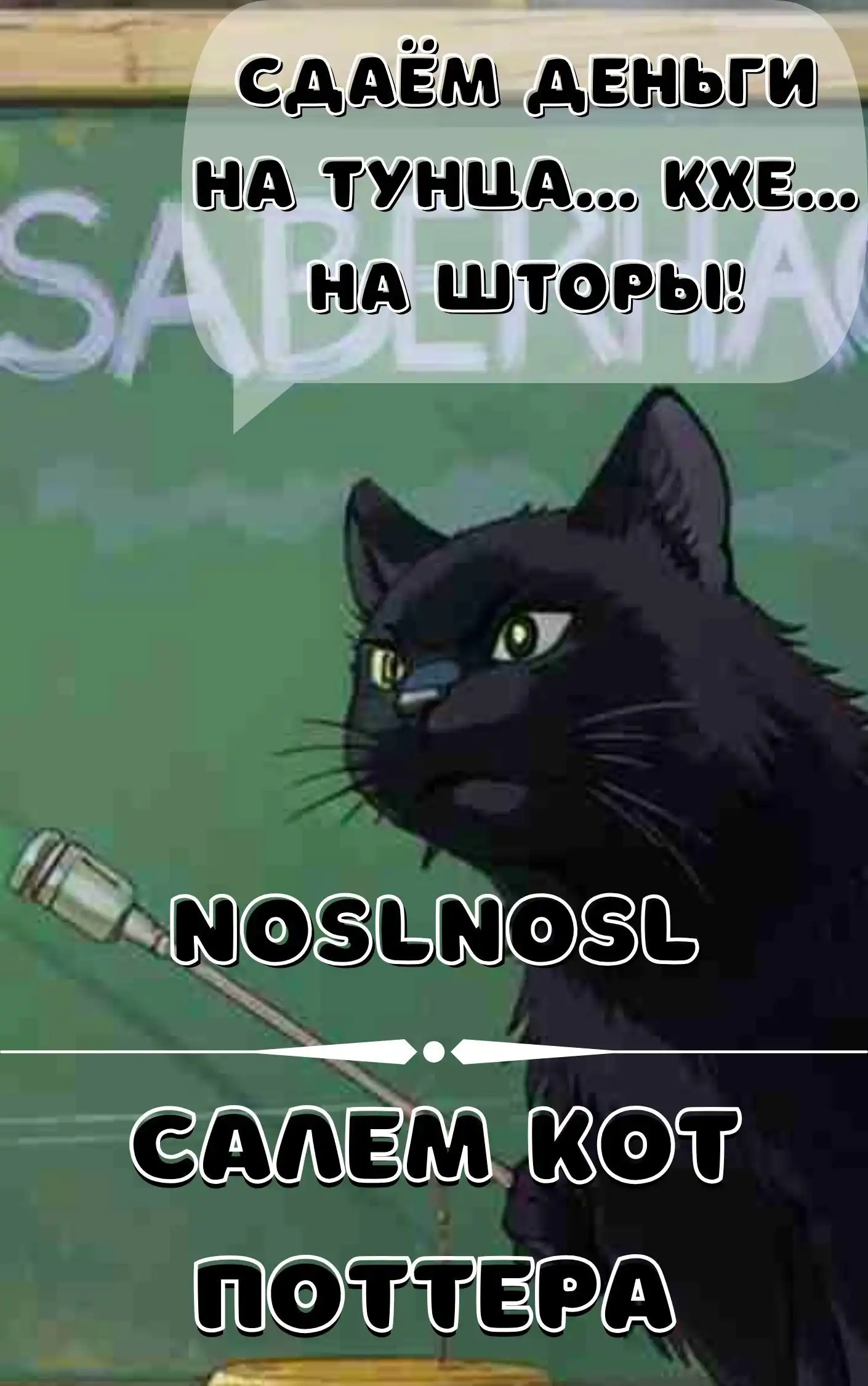 Салем кот Поттера